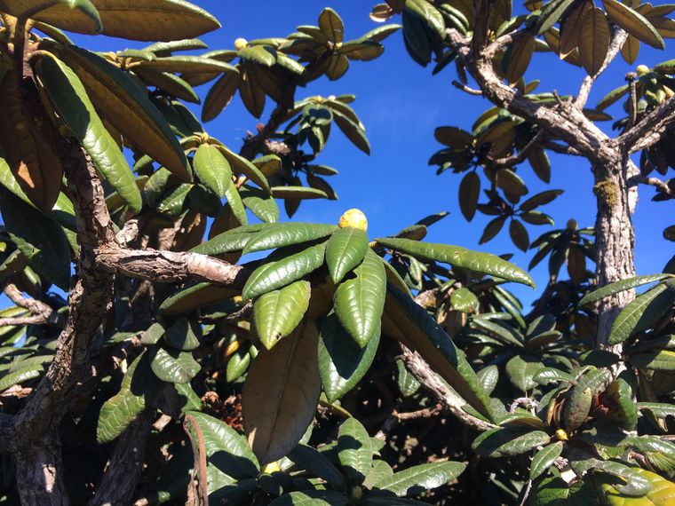 photo 2022 02 01 09 09