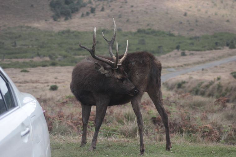 photo 2022 02 01 14 43 img 0281