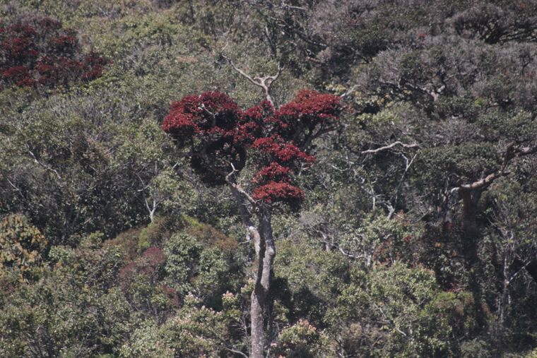 photo 2022 02 01 09 58 img 0253