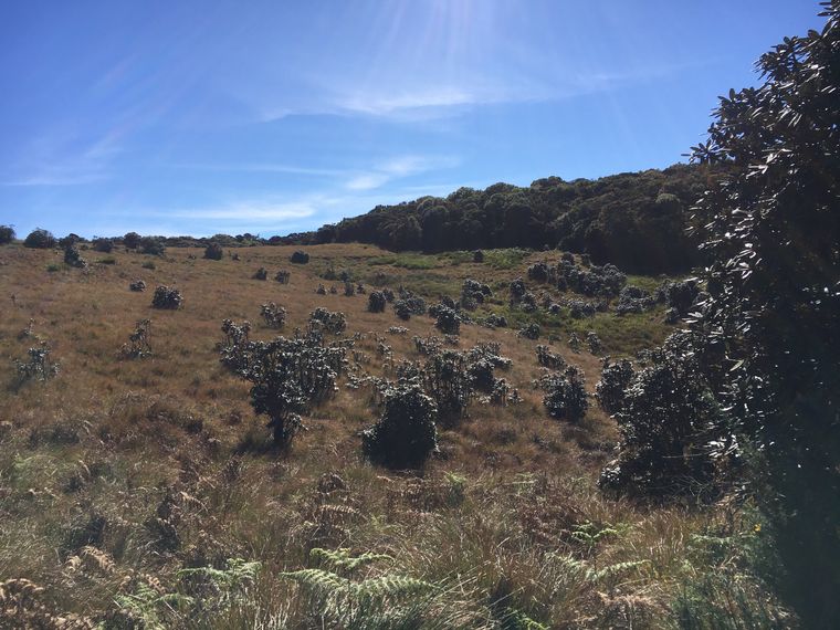 photo 2022 02 01 09 50