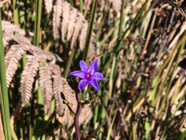 photo 2022 02 01 09 47