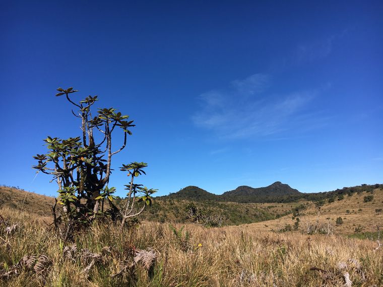 photo 2022 02 01 09 07 37