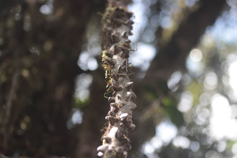 photo 2022 02 01 12 40 img 0277