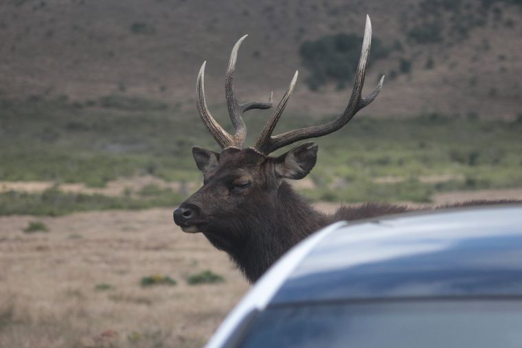 photo 2022 02 01 14 40 img 0283