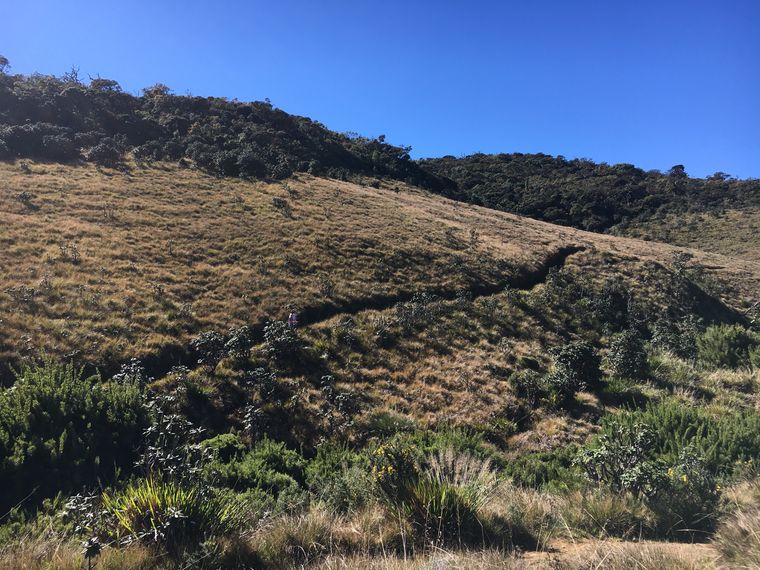 photo 2022 02 01 09 22 33