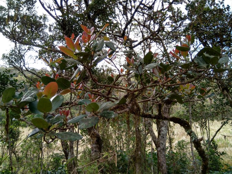 photo 2022 02 01 13 23 58