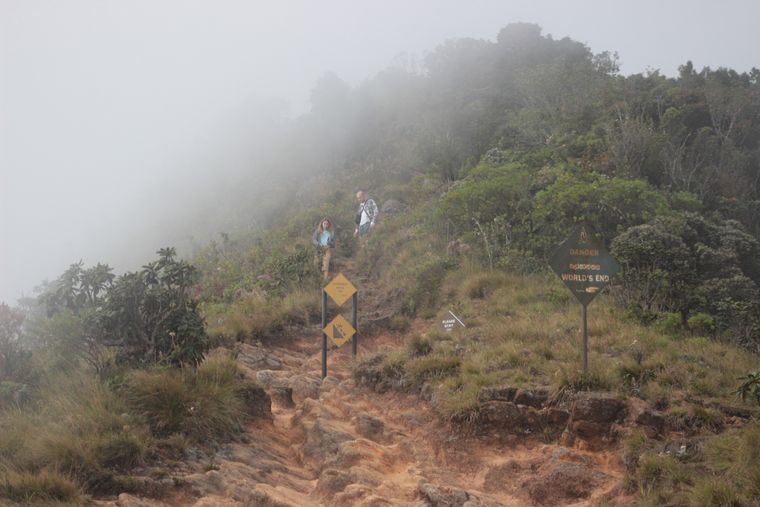 photo 2022 02 01 11 43 img 0273