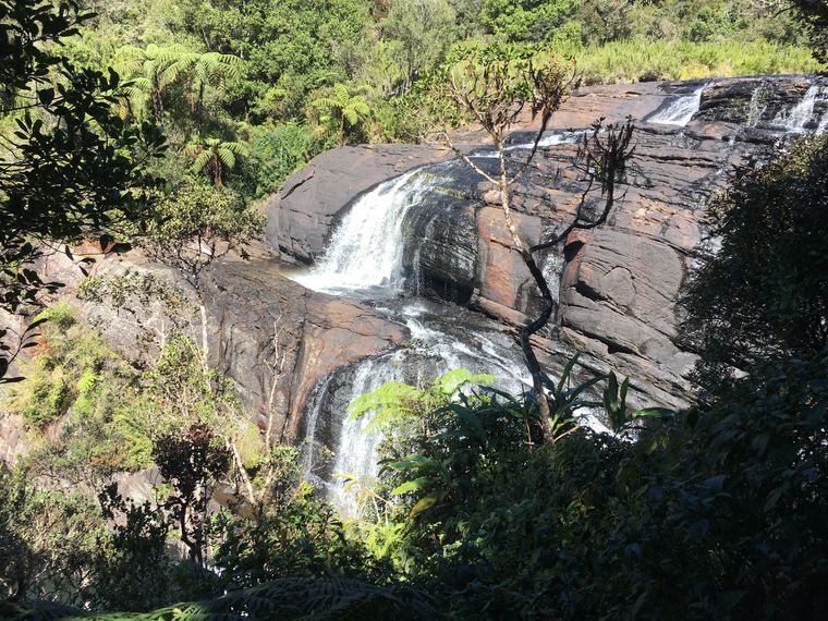 photo 2022 02 01 10 18 40