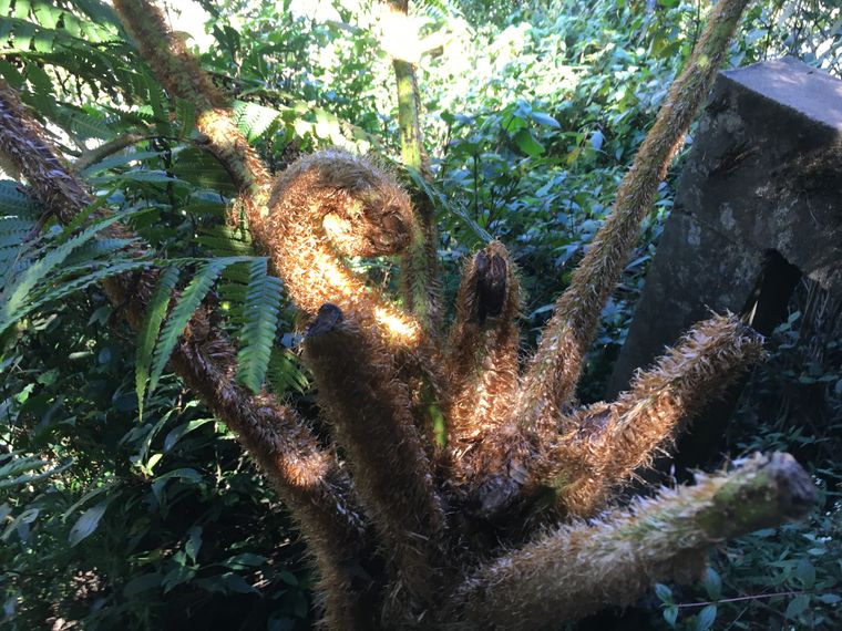 photo 2022 02 01 10 33 33