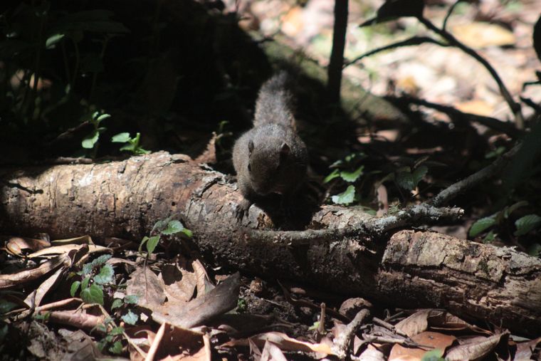 photo 2022 02 01 10 35 img 0241