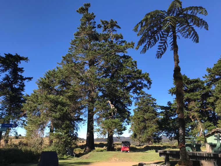 photo 2022 02 01 08 42 03