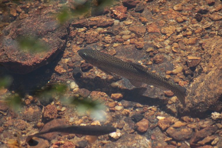 photo 2022 02 01 09 32 img 0258