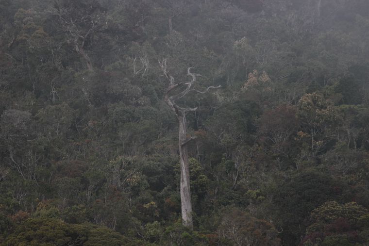 photo 2022 02 01 12 39 img 0268