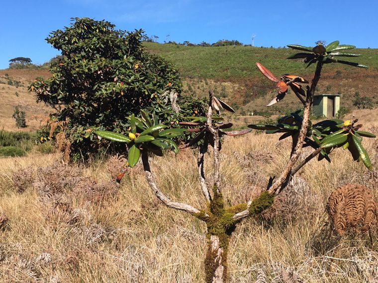 photo 2022 02 01 09 08