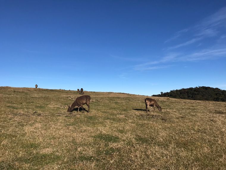 photo 2022 02 01 08 46 05