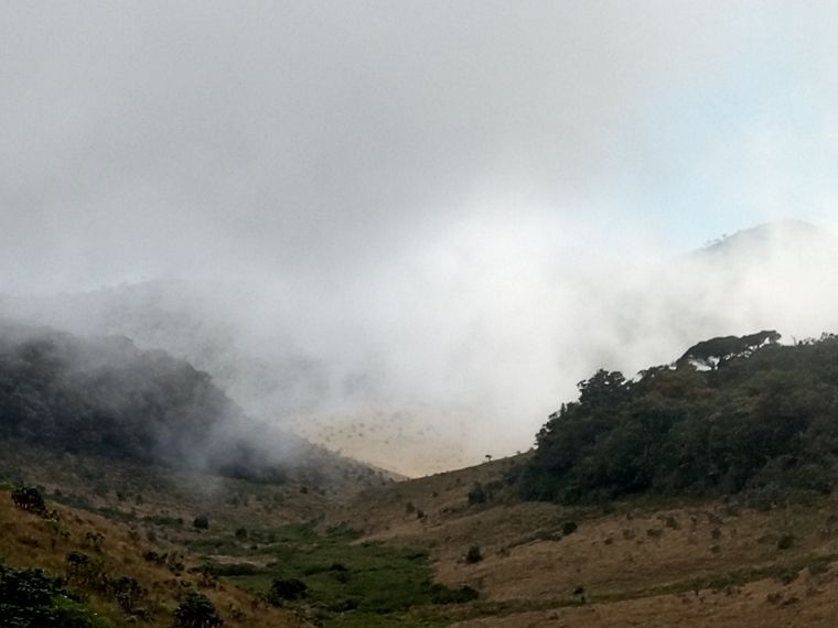 photo 2022 02 01 12 36