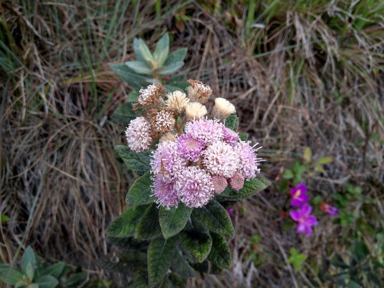 photo 2022 02 01 13 07 07