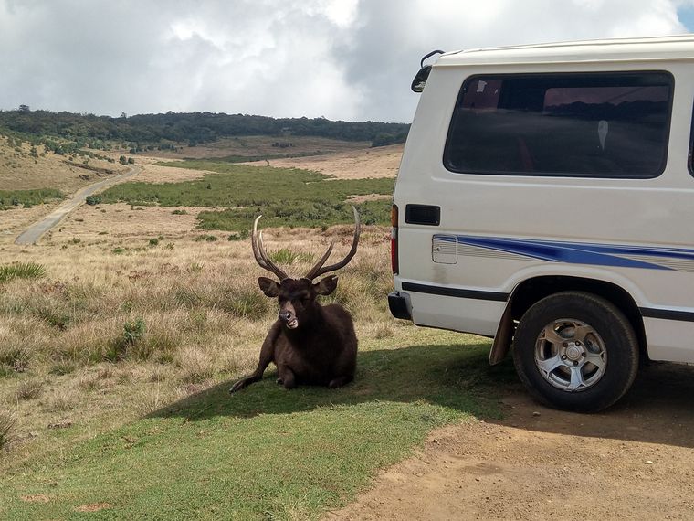 photo 2022 02 01 14 35 13