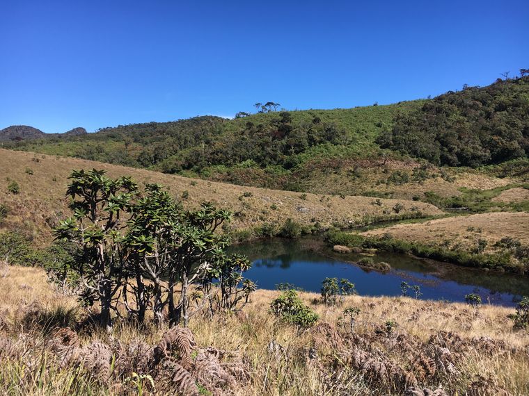 photo 2022 02 01 09 57 25